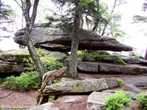 Taennchel - 被称为爬行动物的岩石