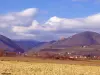 概要