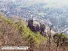 Ruines du château du Girsberg (© Jean Espirat)