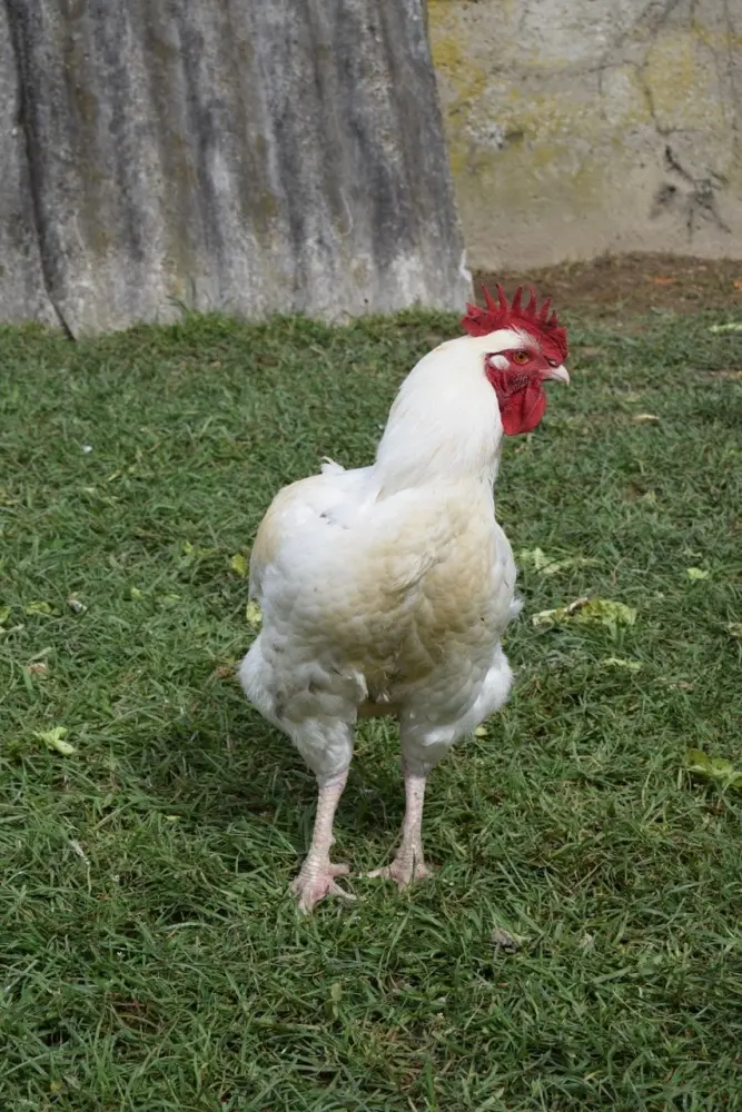 Photos RiellesEaux Tourisme, Vacances & Weekend