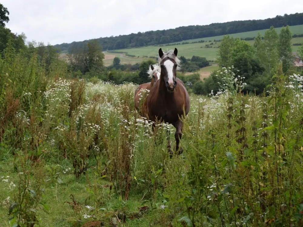 Photos RiellesEaux Tourisme, Vacances & Weekend