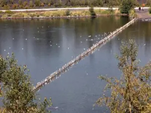 Lago e riserva naturale