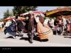 Fiesta de la patata de vacuno Aveyron