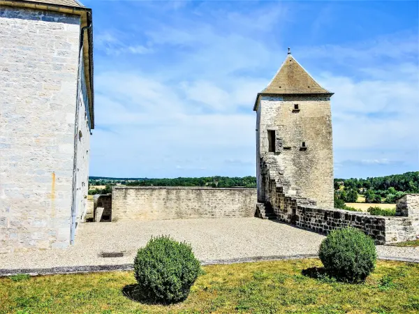 Castillo de La Roche - Monumento en Rigney