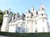 Rigny-Ussé - Guia de Turismo, férias & final de semana no Indre-e-Loire