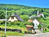 Rimbachzell - Guía turismo, vacaciones y fines de semana en Alto Rin