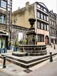 Lion's Fountain，rue de l'Horloge（©J.E）
