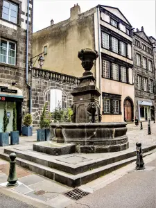 Fontaine des lions, rue de l'Horloge (© J.E)