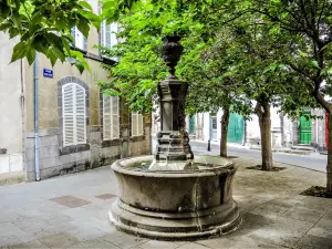 Dauphin Fountain, Place Malouet (© J.E)