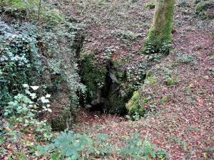 Chambre à Lillot - Fond du puits des cavernes (© J.E)