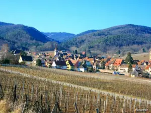 Vista di Riquewihr