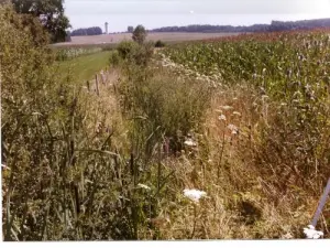 Droyes - Landscape - The white tower at the bottom and the invisible stream among the grasses