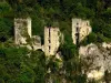 Castle of Rochechinard - Monument in Rochechinard