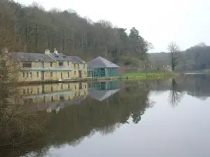 Pond of Rochefort-en-Terre - Pluherlin