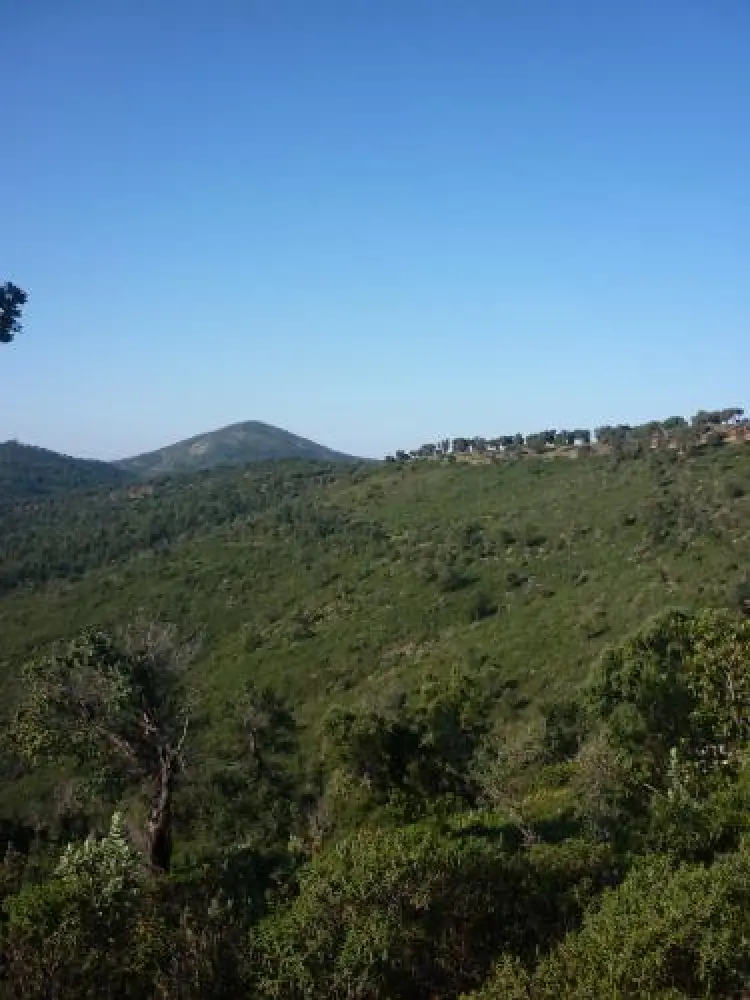 Roquebrune-sur-Argens - Vallon de la Gaillarde