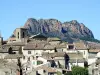 Roquebrune-sur-Argens - Guide tourisme, vacances & week-end dans le Var