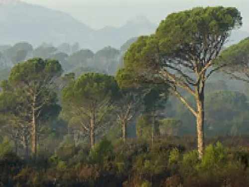 Roquebrune-sur-Argens - La Bouverie