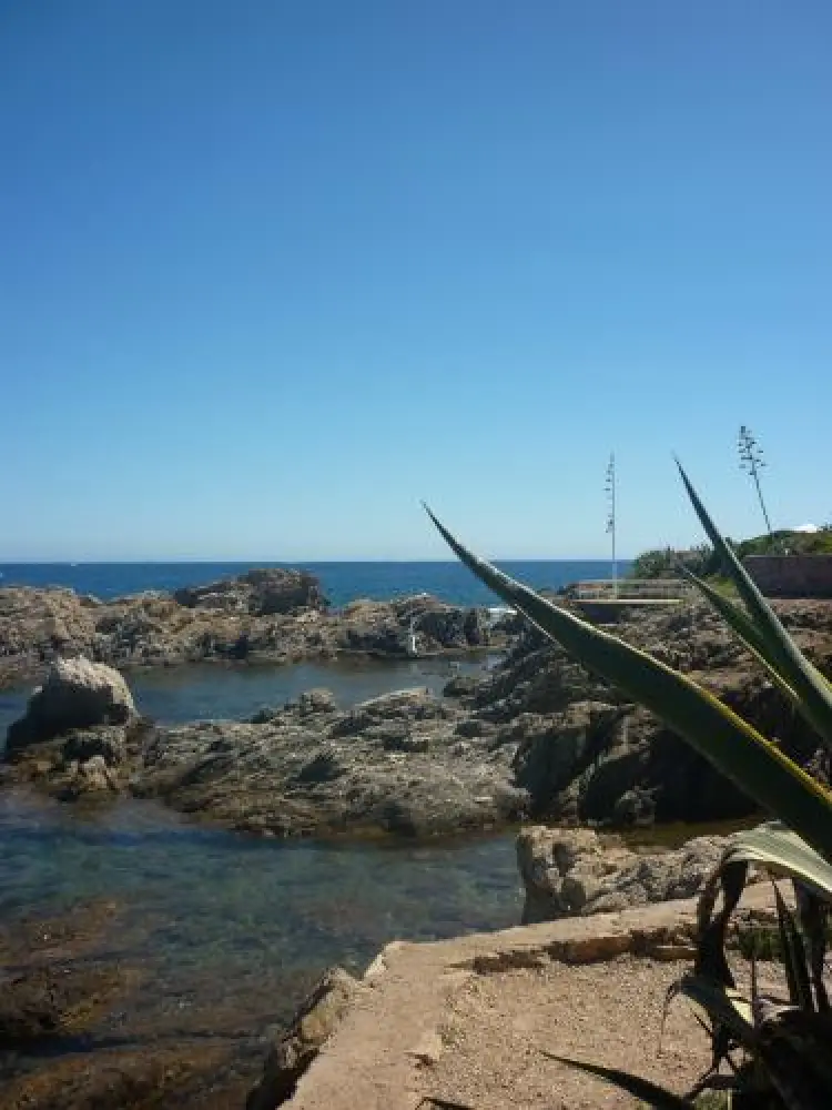 Roquebrune-sur-Argens - Vivier gallo-romain