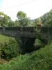Le vieux pont de pierre 