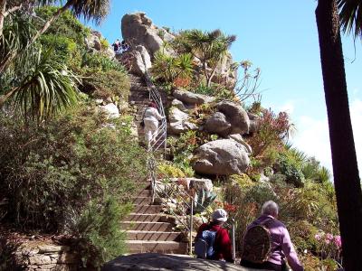 熱帯庭園のroscoff 娯楽施設のroscoff 熱帯庭園のroscoff 娯楽施設のroscoff