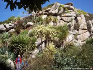 Jardim exótico de Roscoff (© J.E)