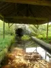 Rostrenen - Lavoir Saint-Jacques