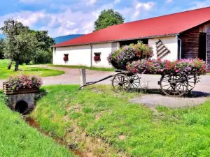 Farm with flowers (© Jean Espirat)