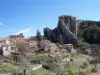 Rougon - Führer für Tourismus, Urlaub & Wochenende in den Alpes-de-Haute-Provence