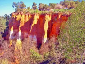 Palette de couleurs (© Jean Espirat)