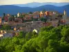 The village and Mont Ventoux in the background