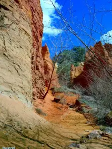 Red canyon wall