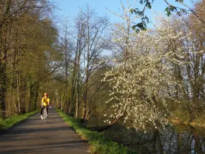 Велосипедная дорожка канала Рона-Рейн