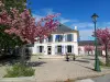 Saclay - Guide tourisme, vacances & week-end en Essonne