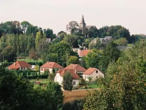 Punto di vista Sadroc