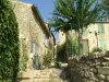 Saignon - Tourism, holidays & weekends guide in the Vaucluse