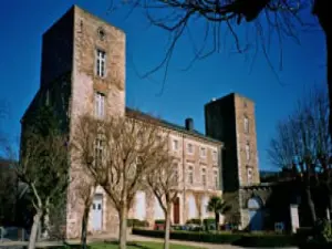 Castillo Saint-Amans-Valtoret