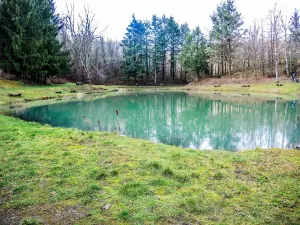 Pond of the Firmenweiher (© J.E)