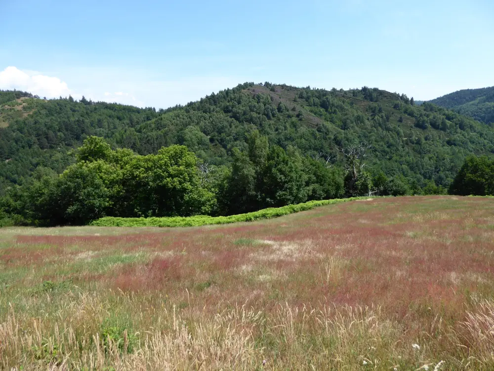 Photos SaintAndrédeLancize Tourisme, Vacances & Weekend