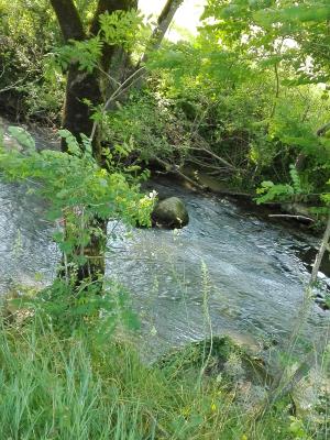 Saint Andre De Najac Tourisme Vacances Week End