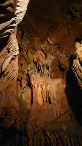Bosc Cave