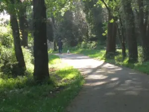 Les pistes cyclables