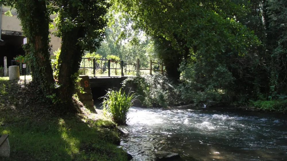 Photos SaintBenoistsurVanne Tourisme, Vacances & Weekend