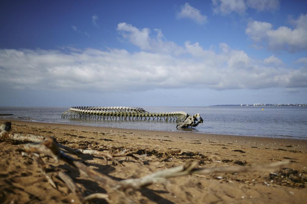 Photos SaintBrevinlesPins Tourisme, Vacances & Weekend