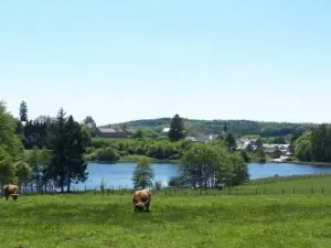 Vista dall'erbularium