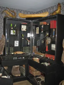 Cabinet of Curiosities - Saint-Calais