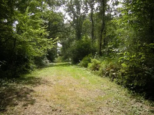 SaintCharleslaForêt Tourisme, Vacances & Weekend