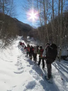 snowshoe discovery Walk