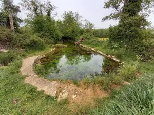 Source of the Dive du Sud