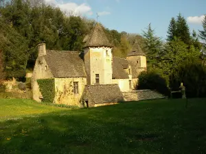 Castle Cipières