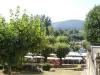 Saint-Cyprien Market